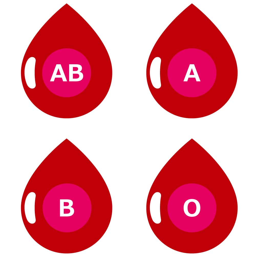 毎週恒例！3月2日〜8日までの『血液型別の占い』動画です！！