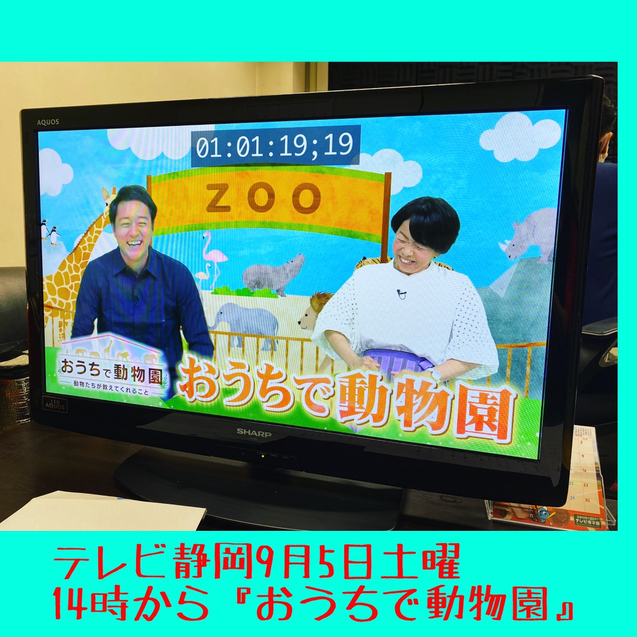 テレビ静岡「おうちで動物園」ナレーションの収録